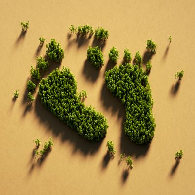 Carbon-Footprint-Management Carbon Footprint Management