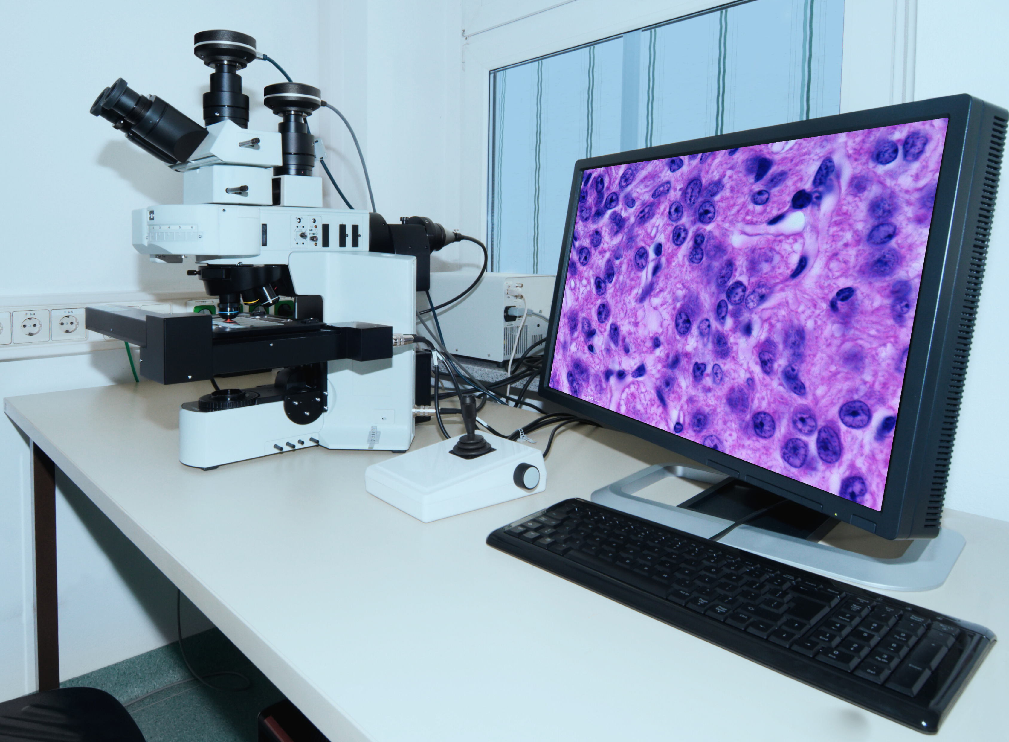 Digital Pathology HTS Labs