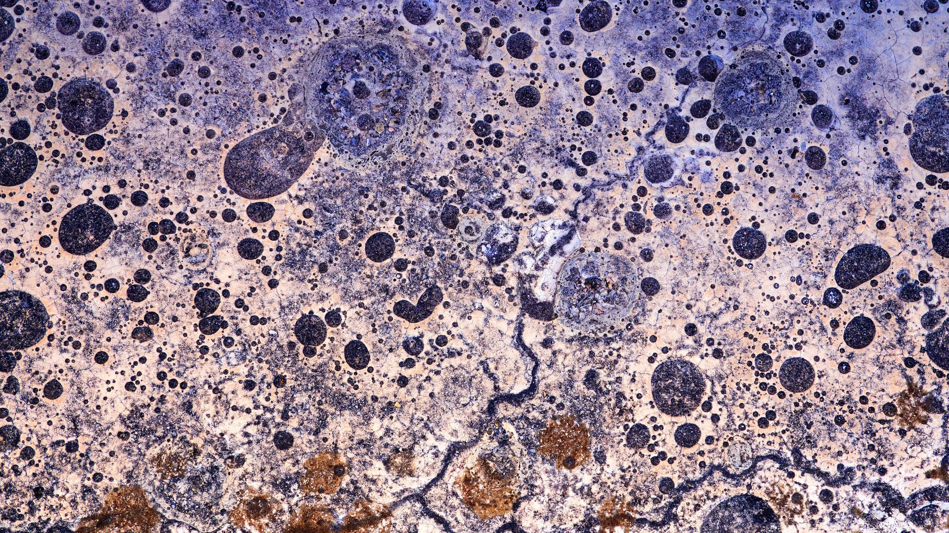Comprehensive Stains